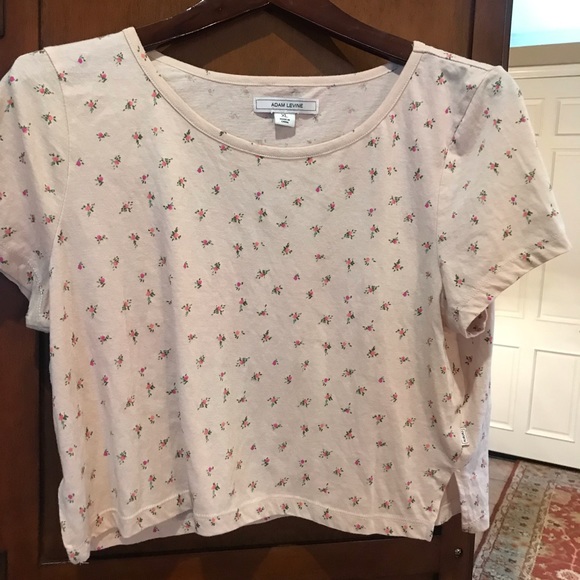 Adam Levine Collection Tops - 🐣3 for $10🐰 Adam Levine short sleeved crop top